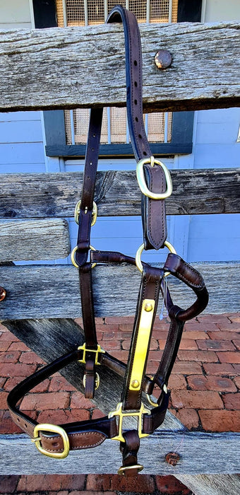 Thoroughbred Leather Yearling Halter with Brass Plate