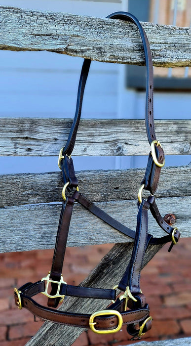 Double Buckle Thoroughbred Leather Yearling Halter