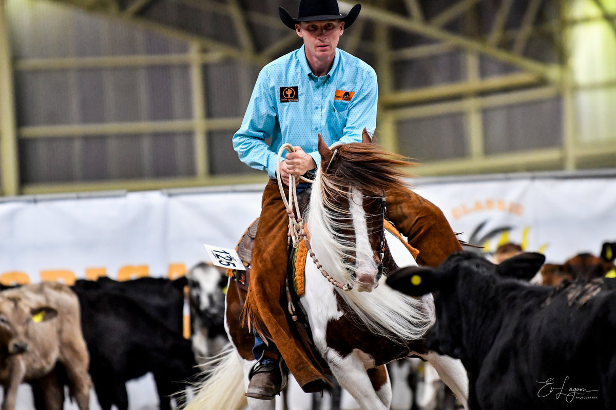 Rider — Toprail Equine