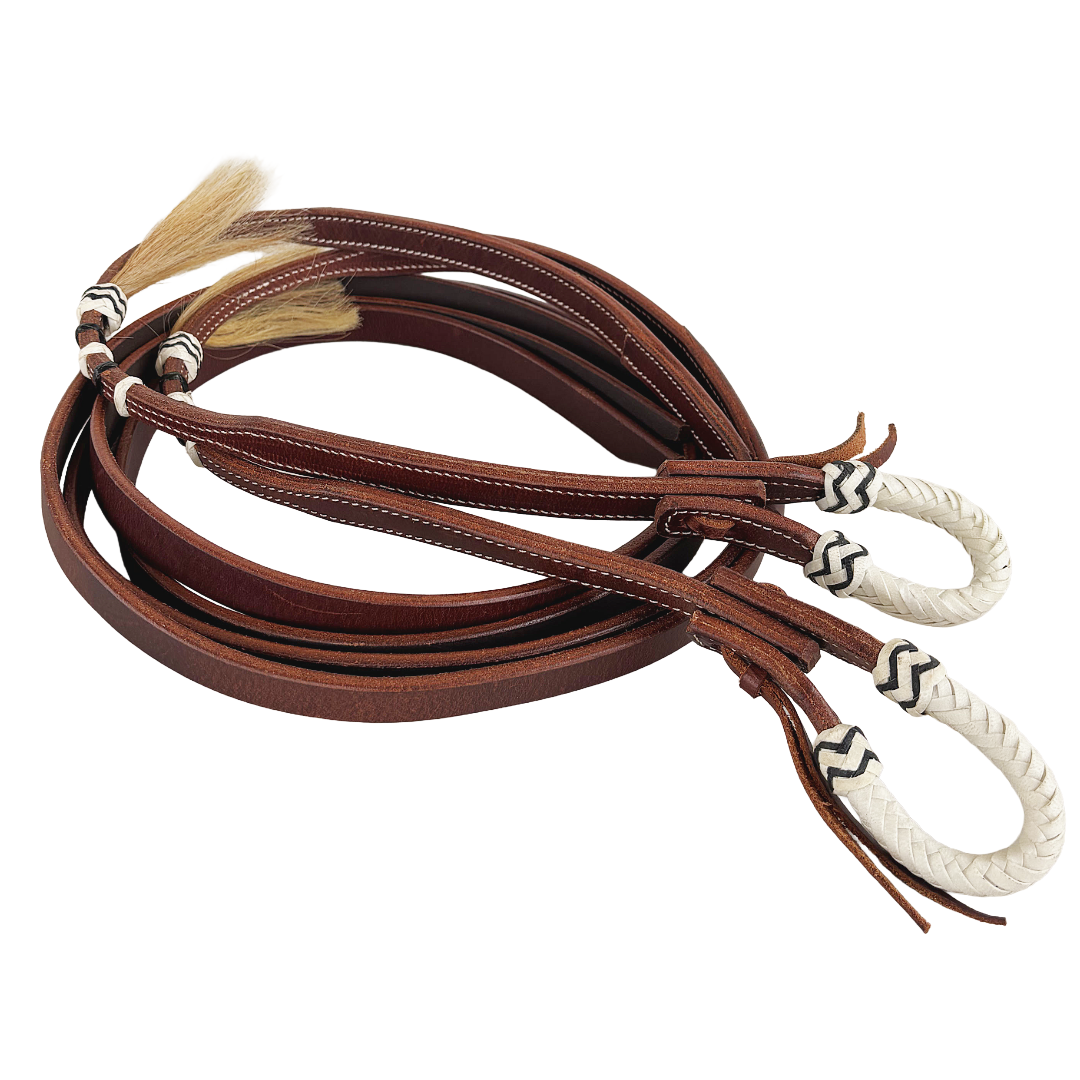 Reins