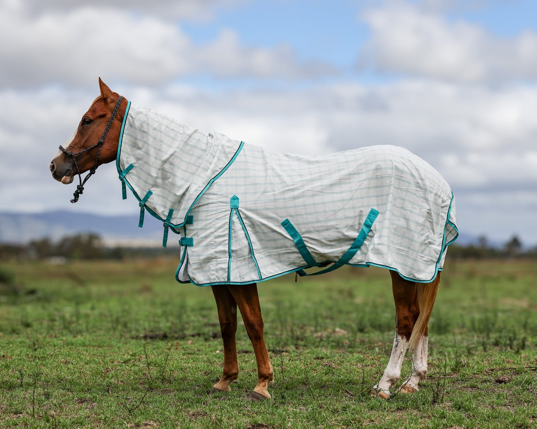 Ripstop Cotton Combo Rug- Turquoise — Toprail Equine