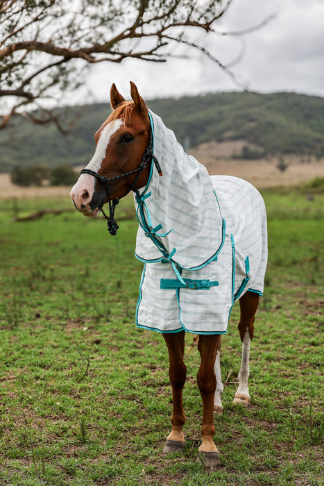 Ripstop Cotton Combo Rug- Turquoise