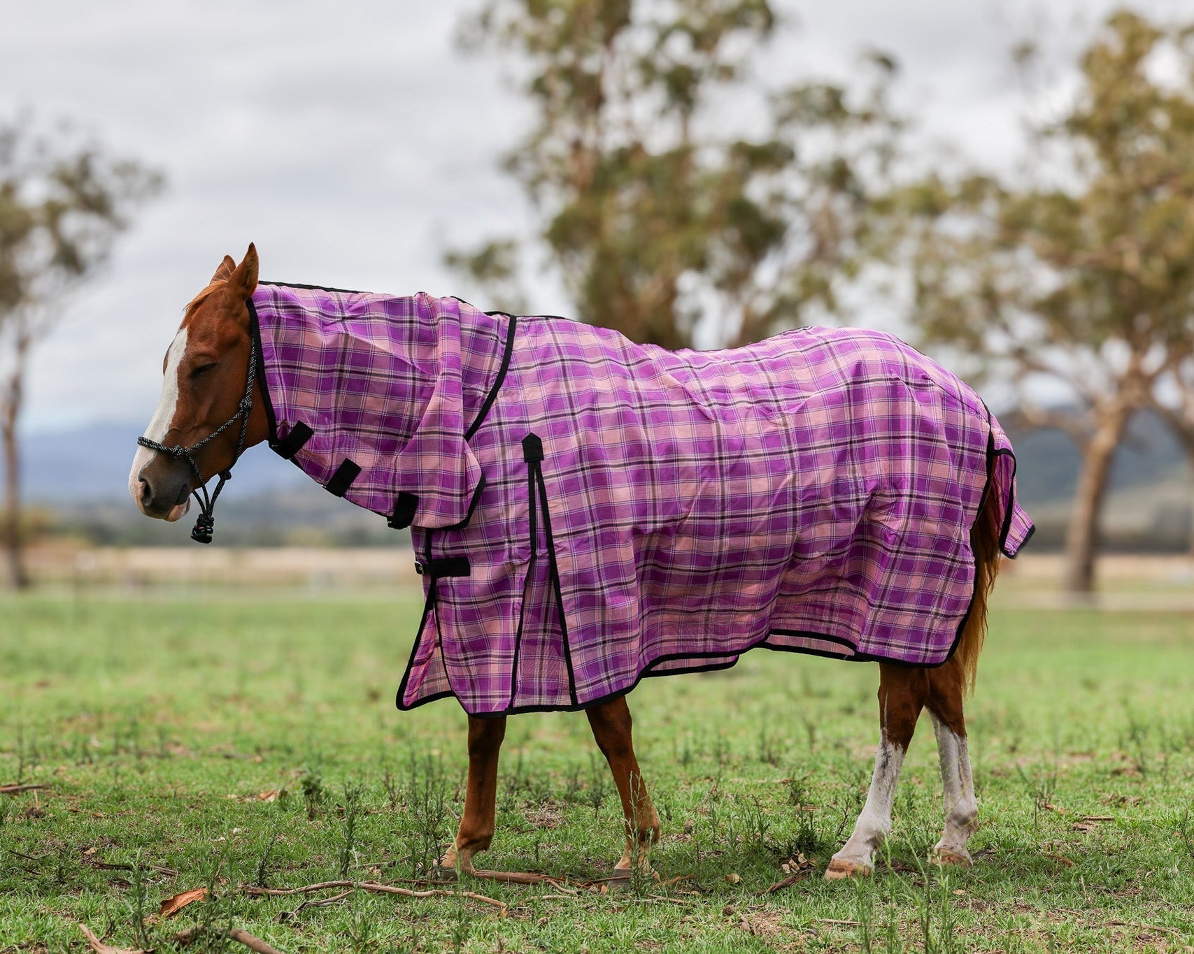 Mesh Crossover Rugs Cool Shady PVC Mesh Rugs (Long Drop) — Toprail Equine