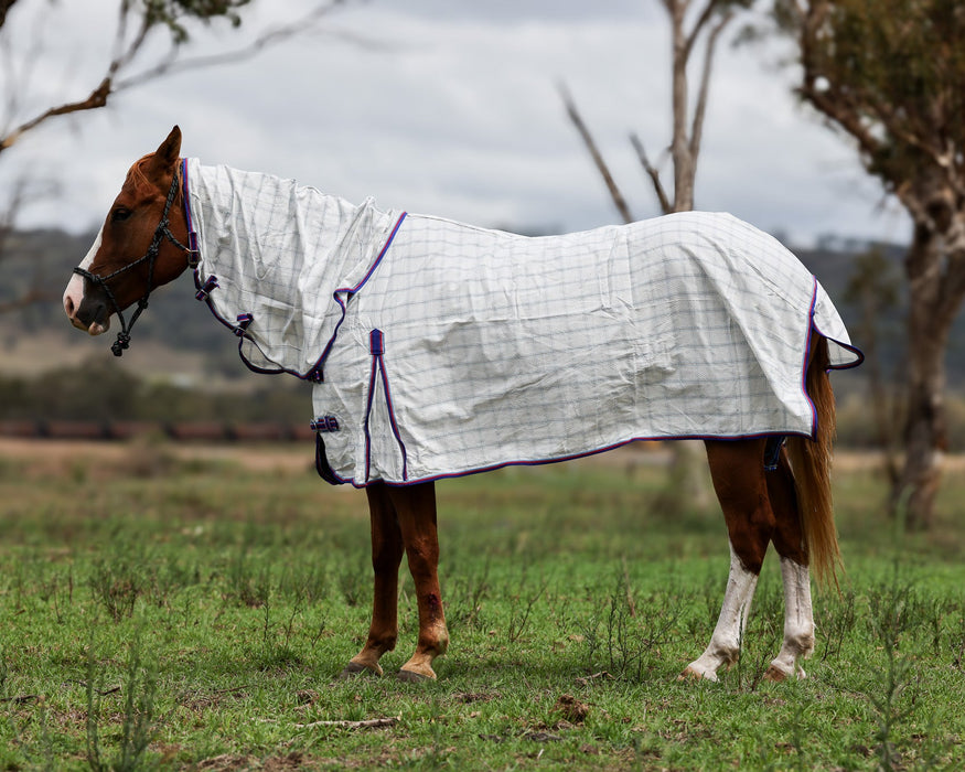 Ripstop Cotton Combo Rug- Royal blue
