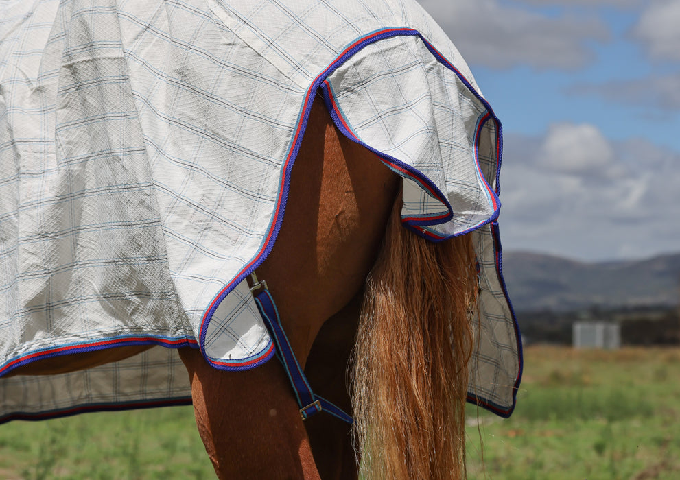 Ripstop Cotton Combo Rug- Royal blue