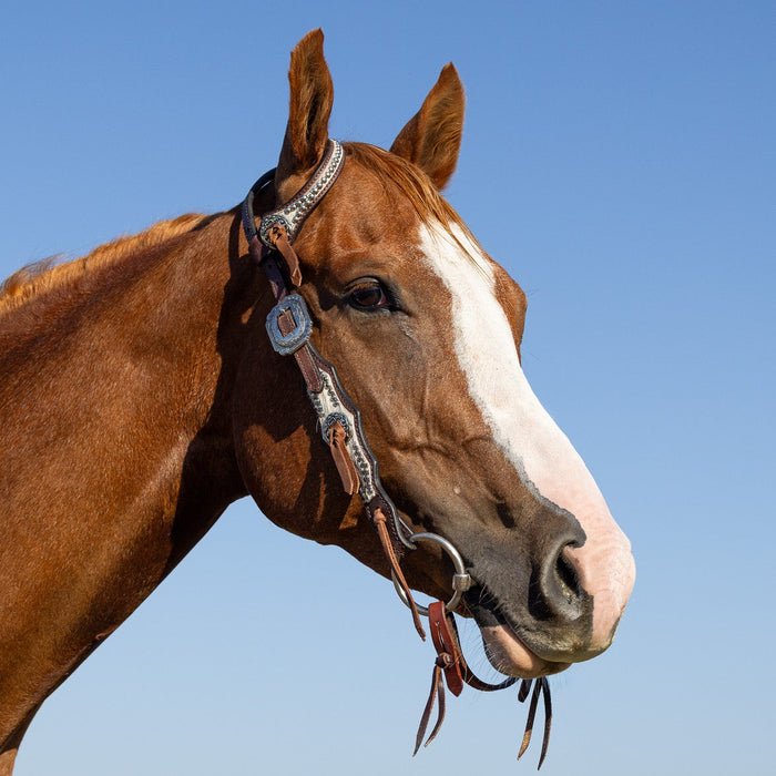 “LAINEY” One Eared Cowhide Headstall - Smooth Like Cactus