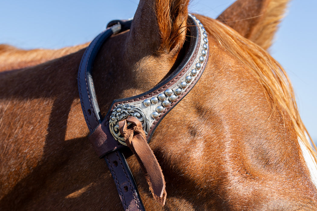 “LAINEY” One Eared Cowhide Headstall - Smooth Like Cactus