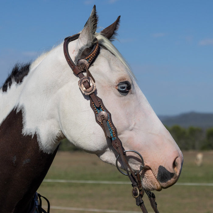 "DUNDEE" Turquoise Croc leather One Eared headstall