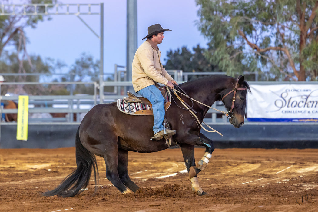 "COYOTE AZTEC" Woven Contour Performance Pad
