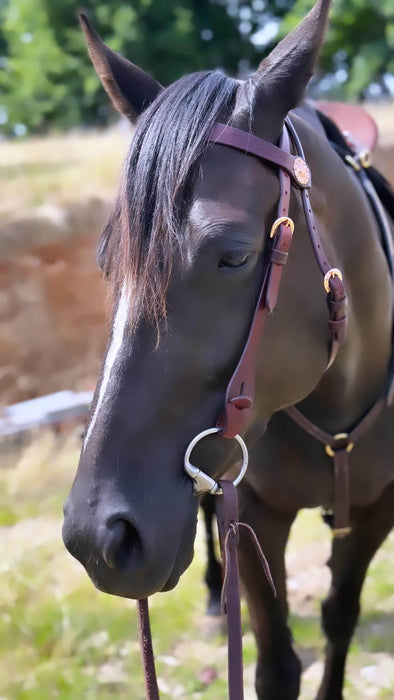 1944 Quick Change Bridle