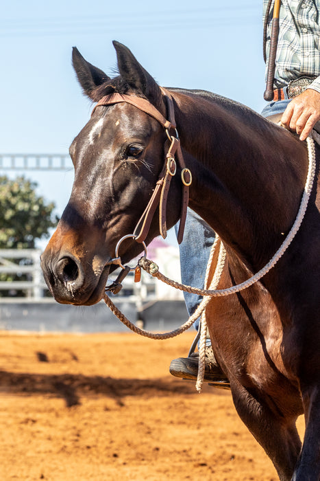"WINTON CHALLENGE" USA Headstall