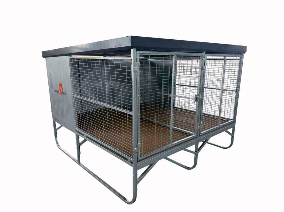 Raised Double dog kennel