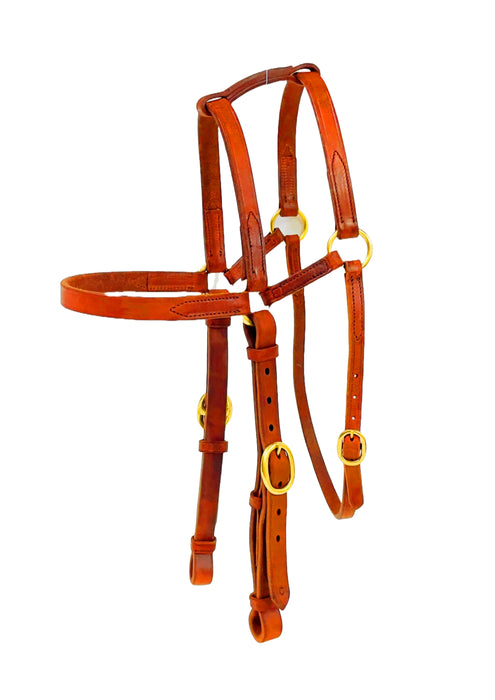 "WINDORAH" Extended Barcoo Bridle