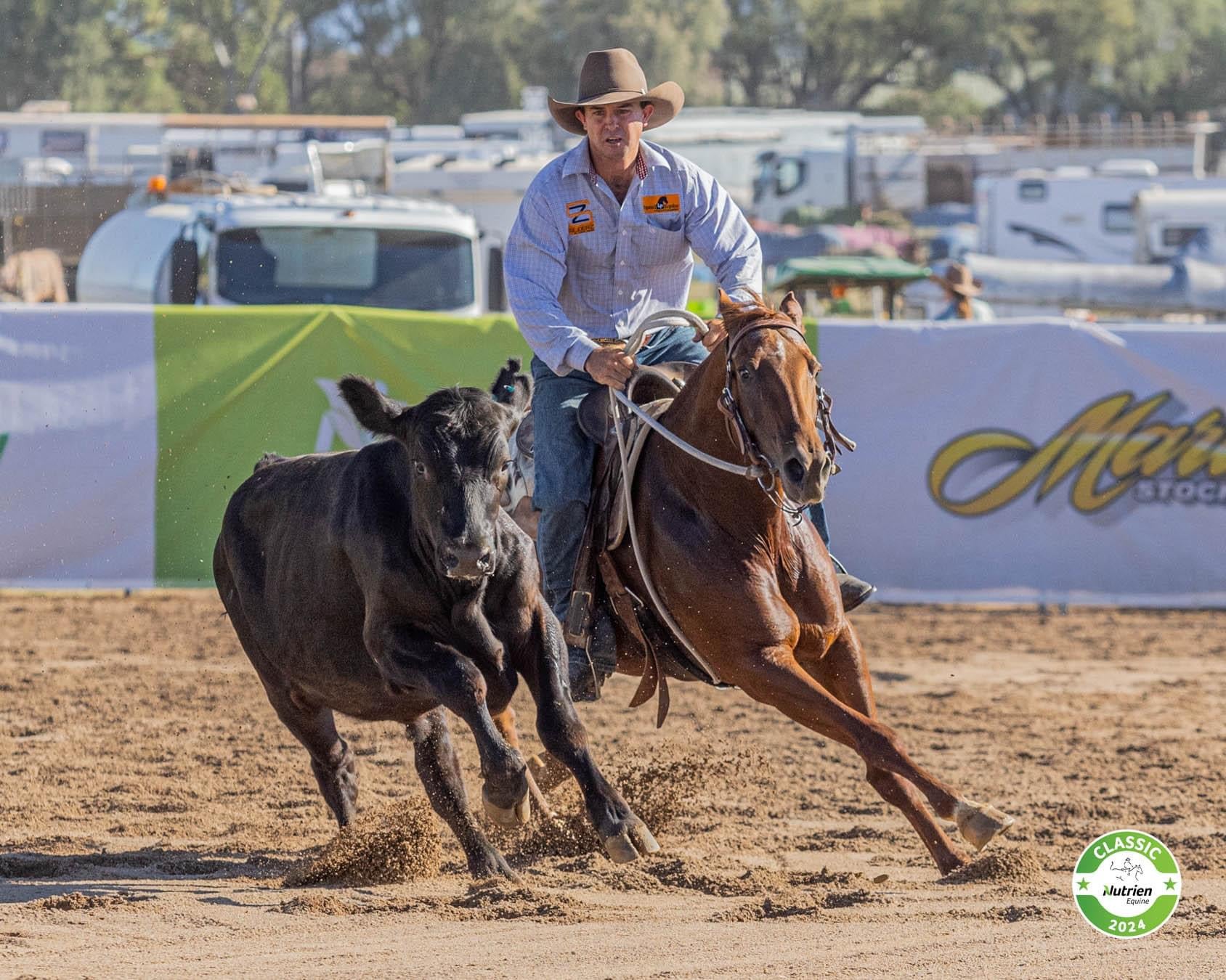 Top Riding Stock Product tag is equal to Horse — Toprail Equine