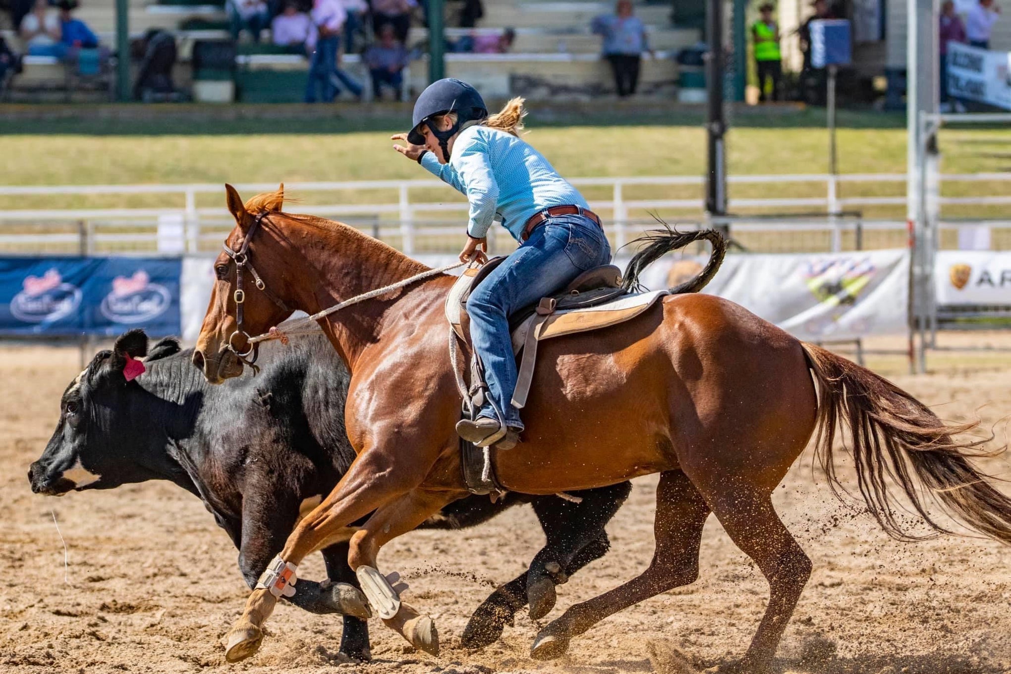 Top Riding Stock Rider — Toprail Equine