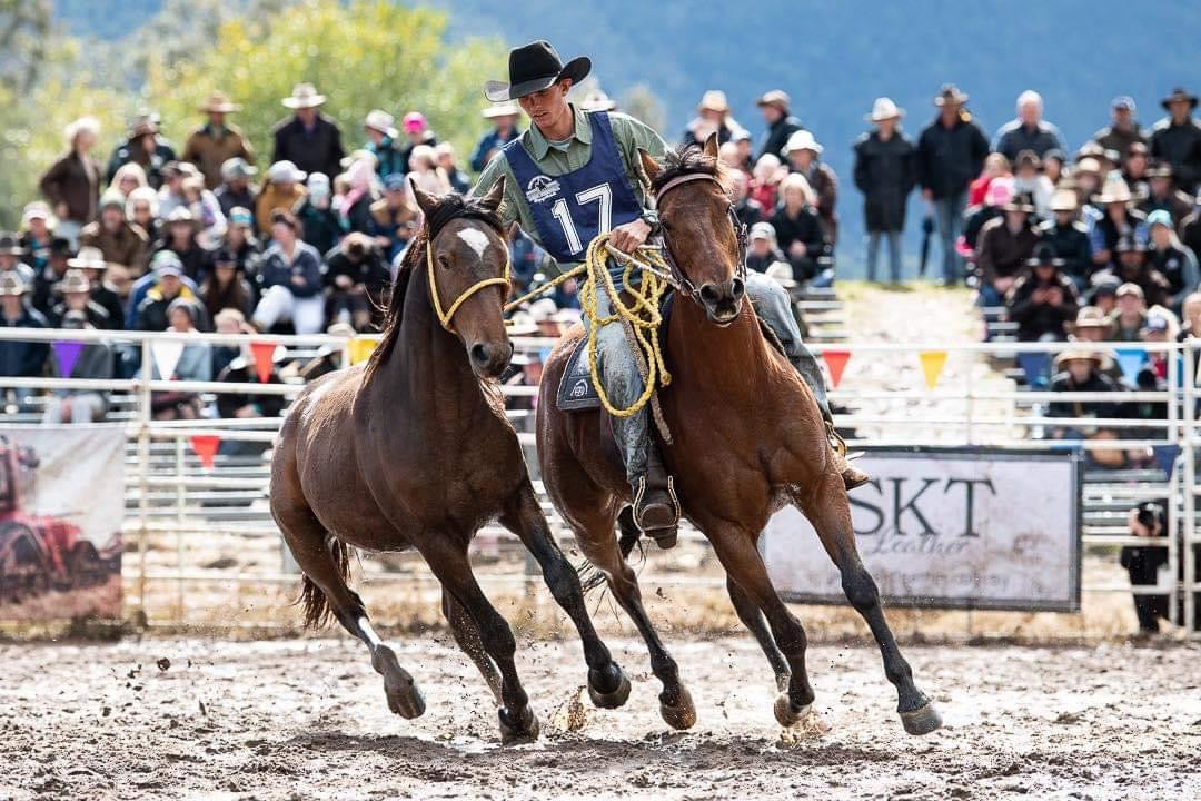 Top Riding Stock Rider — Toprail Equine