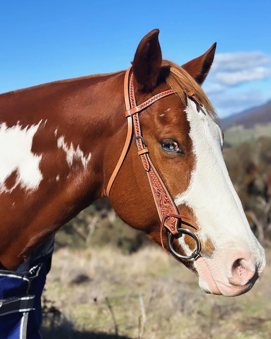 Leather headstall with Futurity knot browband and engraved tooling USA Harness leather