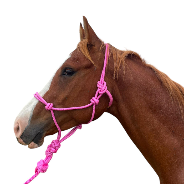 Knotted Rope Halter - Toprail Equine