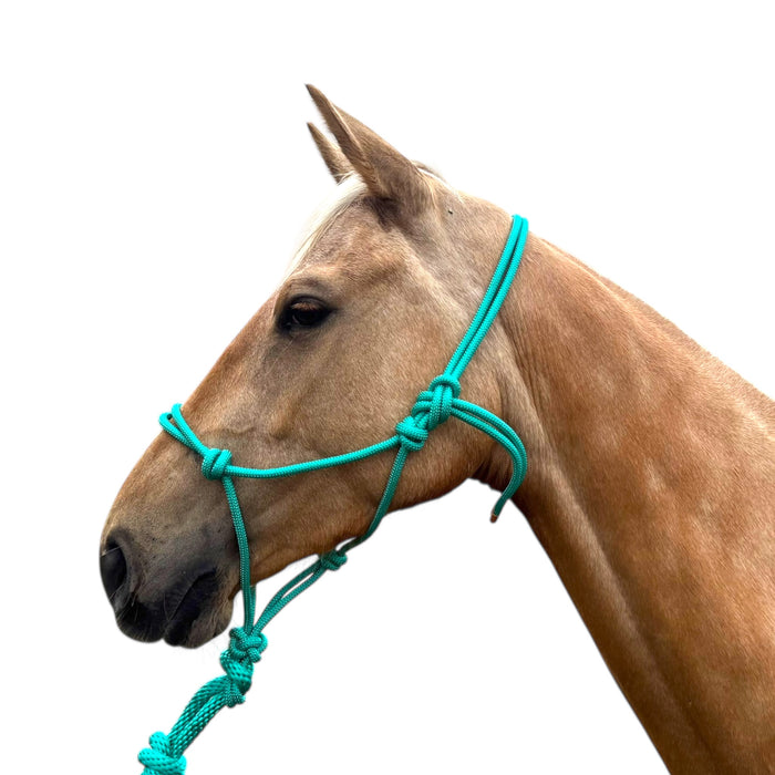 Knotted Rope Halter - Toprail Equine
