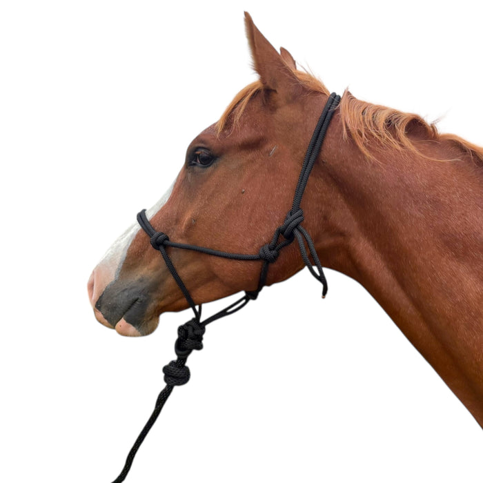 Knotted Rope Halter - Toprail Equine