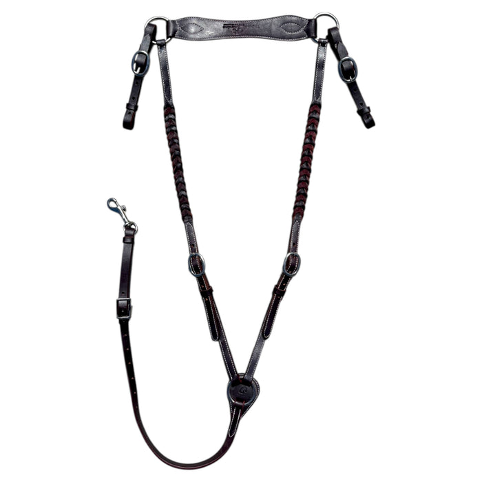 Wyoming fishplait Breastplate