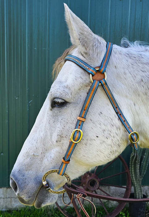 Natural Harness leather 3/4" Barcoo Bridle with TURQUOISE outline and silver studs on browband