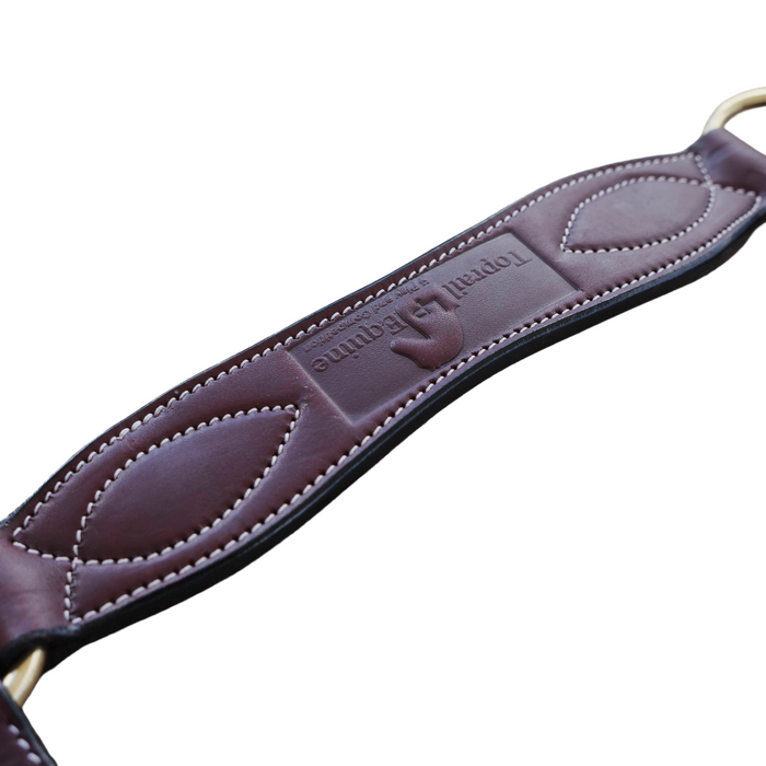 Breastplate with Rawhide Plait -Full