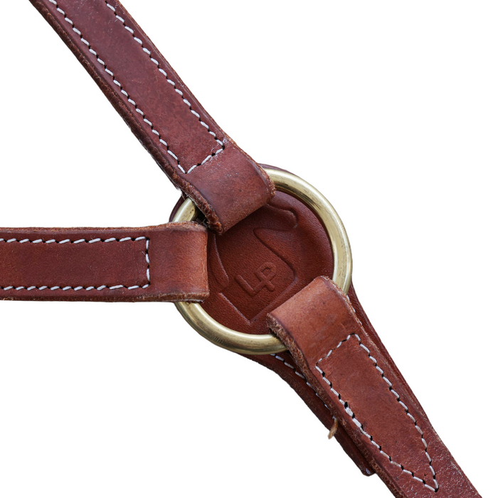 'WINTON CHALLENGE" USA Breastcollar