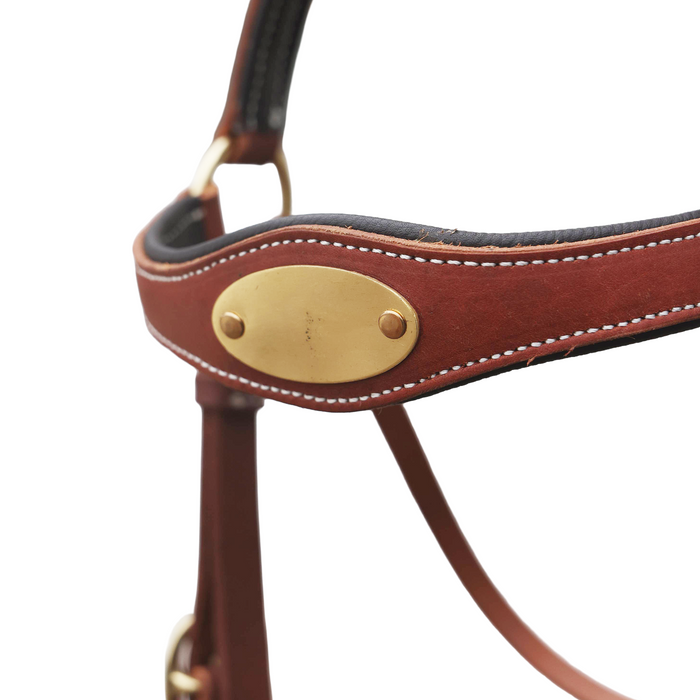 "ROXBY" Barcoo Padded Shaped Brow with Oval Brass Plate - Toprail Equine