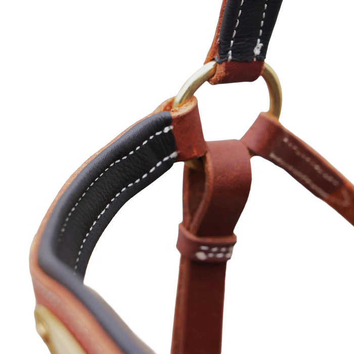 "ROXBY" Barcoo Padded Shaped Brow with Oval Brass Plate - Toprail Equine