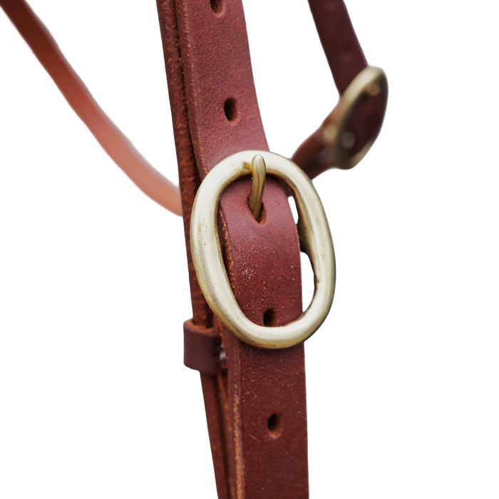 "ROXBY" Barcoo Padded Shaped Brow with Oval Brass Plate - Toprail Equine