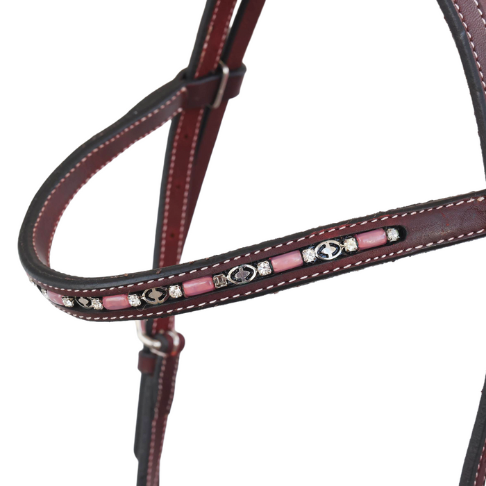 "DUSTY" Bridle