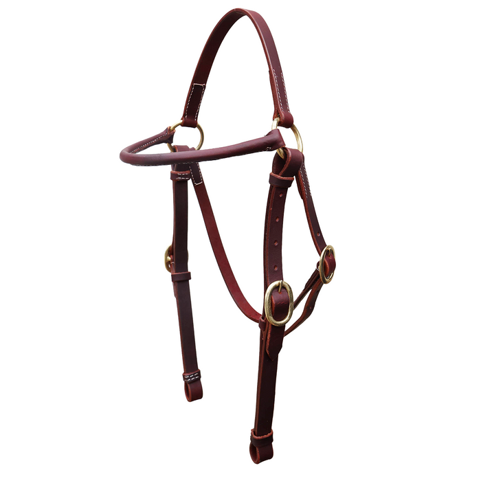 "RAS" Rolled leather show bridle