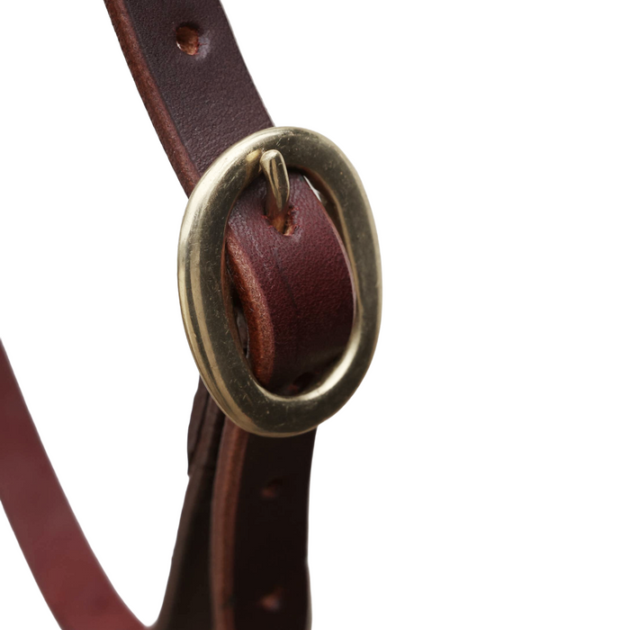 "RAS" Rolled leather show bridle