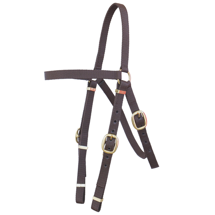 Webbing Barcoo Bridle