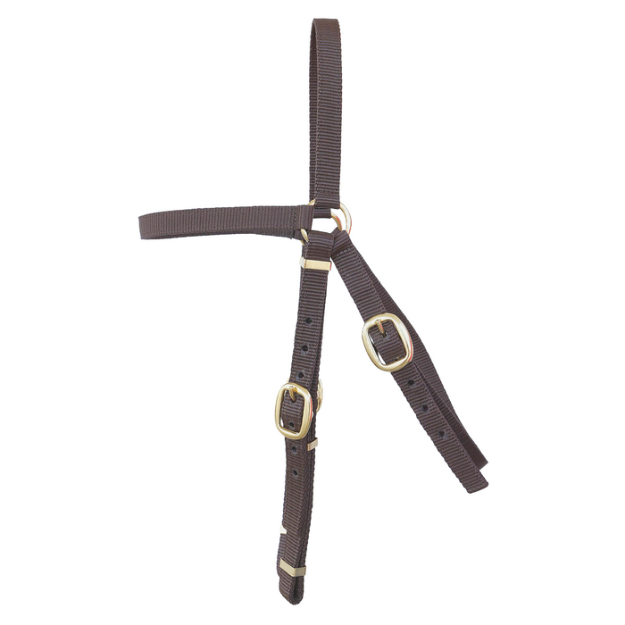 Webbing Barcoo Bridle