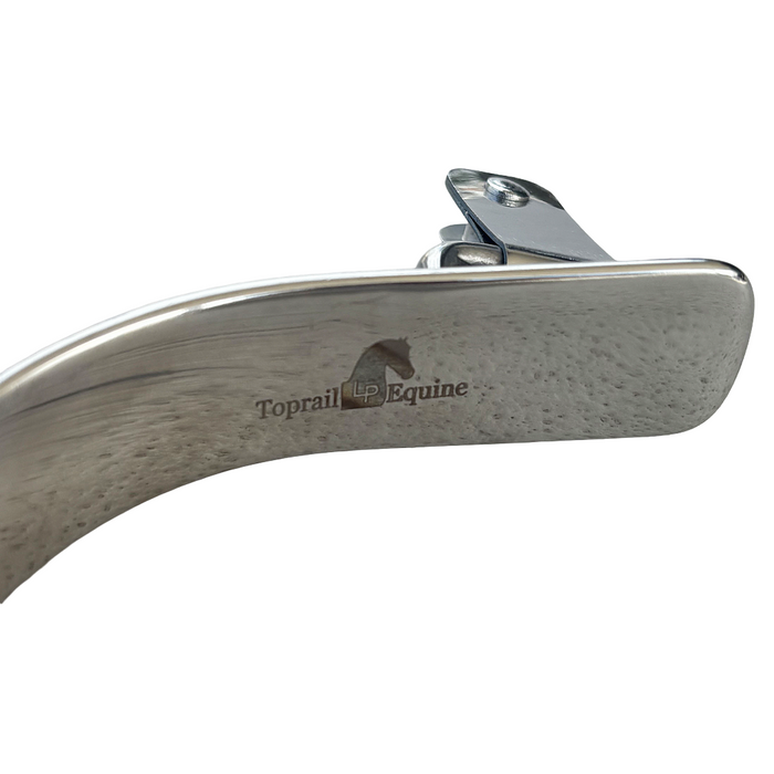Diamantina Stainless Steel Spur