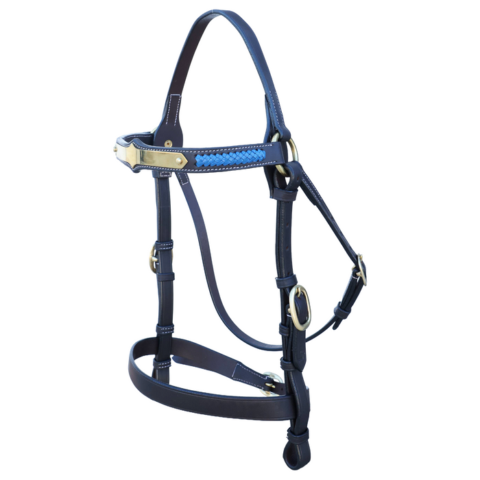 Diamond Show Plate Bridle with Royal Blue Plait
