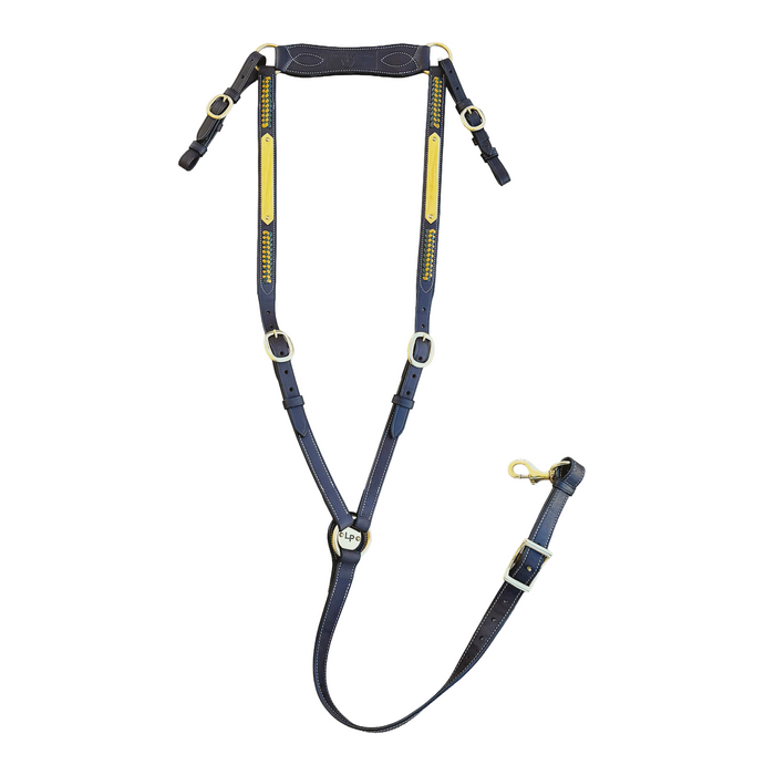 Diamond Show Plate Breastplate with Yellow/Green Plait