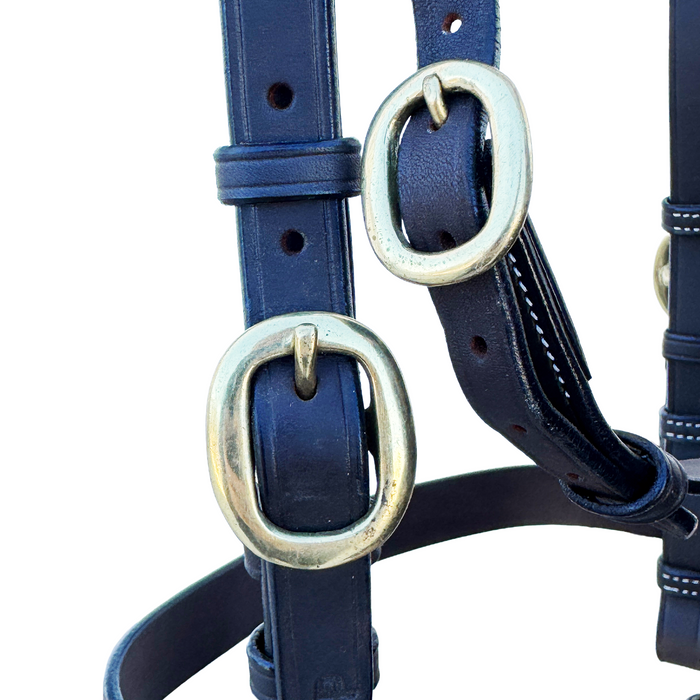 Diamond Show Plate Bridle with Yellow/ Green Plait