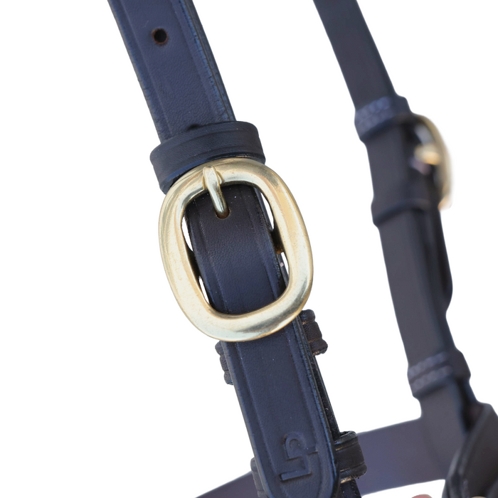 Diamond Show Plate Bridle with Royal Blue Plait