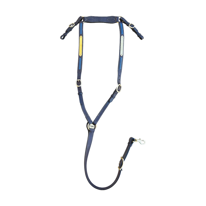 Show Plate Breastplate with Royal Blue Plait