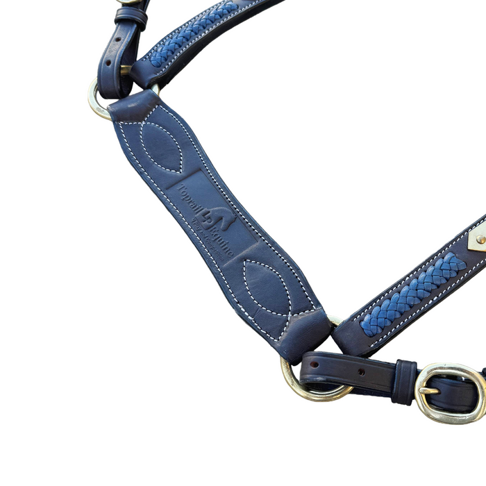 Show Plate Breastplate with Royal Blue Plait