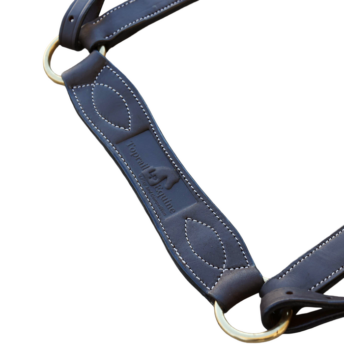 Show Plate Breastplate with No Plait