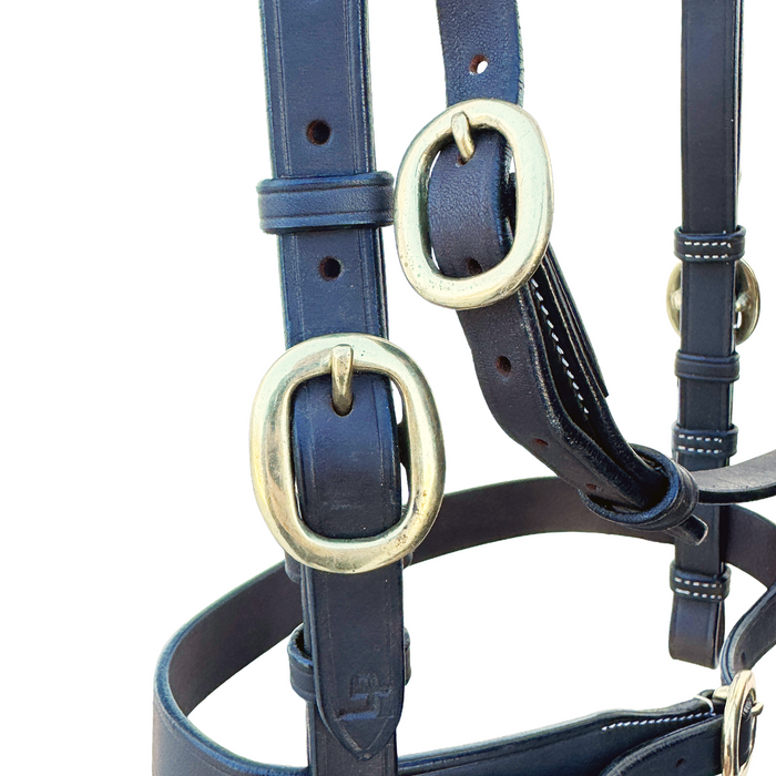 Diamond Show Plate Bridle with Gold Plait