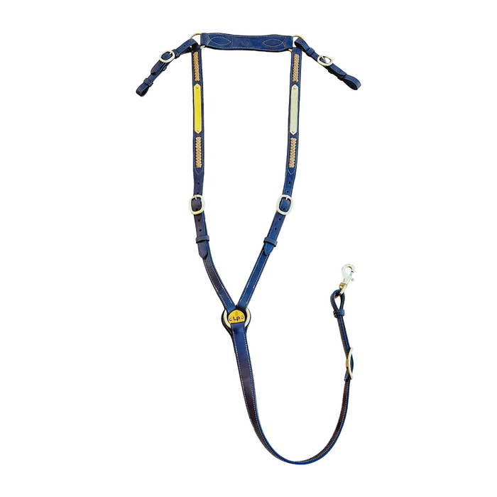 Show Plate Breastplate with Gold Plait