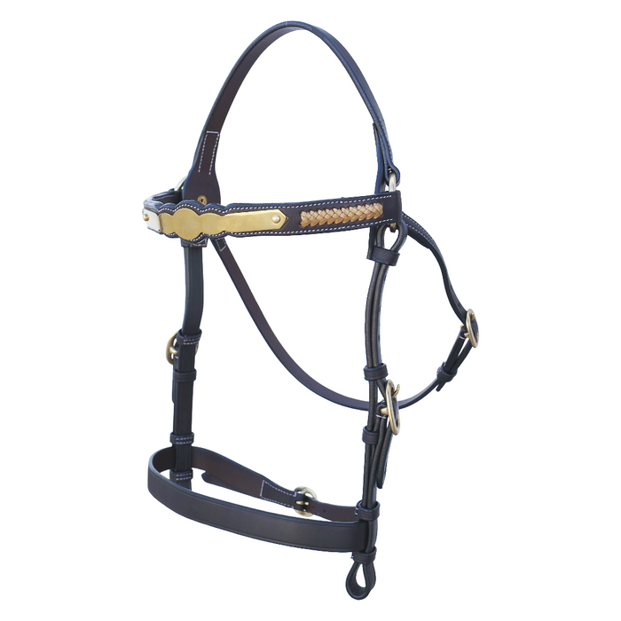 Scalloped Show Plate Bridle with Gold Plait