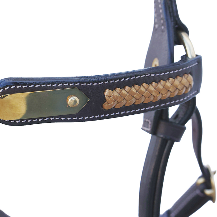 Scalloped Show Plate Bridle with Gold Plait
