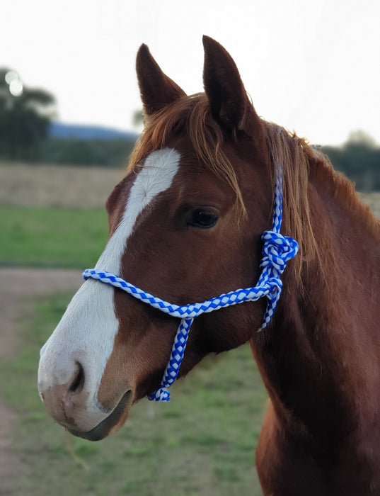 Ideal Weanling Ski Rope - Nylon braided Halter