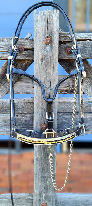 Western Show Halter with Gold